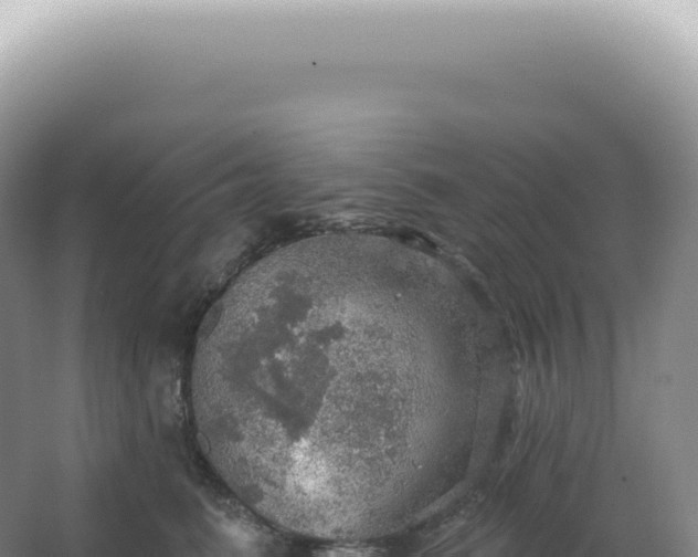 X0000067470615200604142352