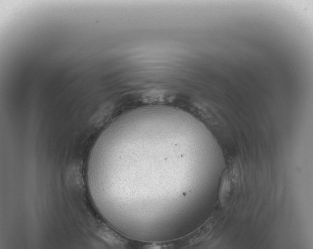 X0000067470616200604142352