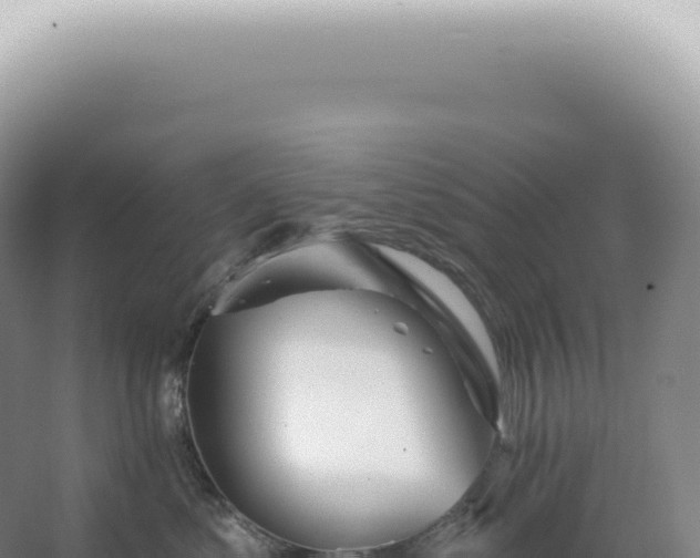 X0000067470621200604142352