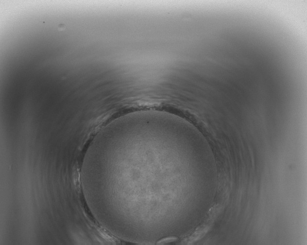 X0000067470624200604142352