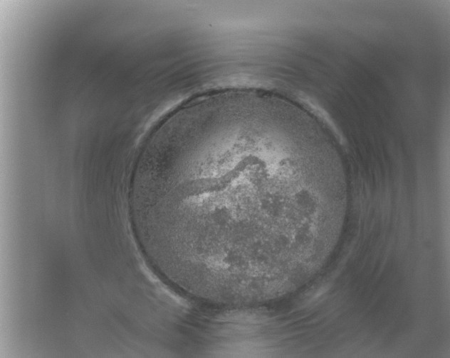 X0000067470625200604142351