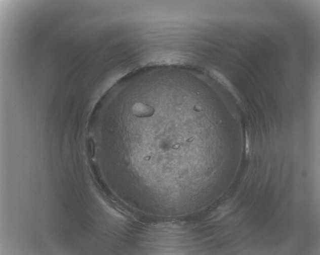 X0000067470627200604142351