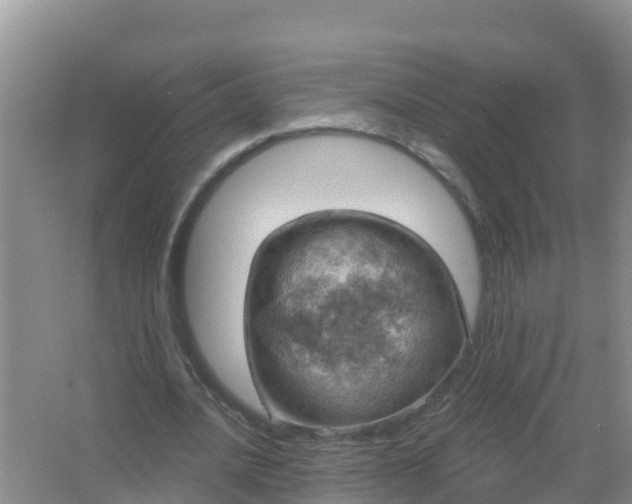 X0000067470628200604142351