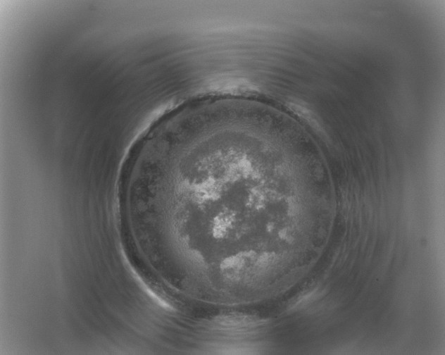 X0000067470630200604142351