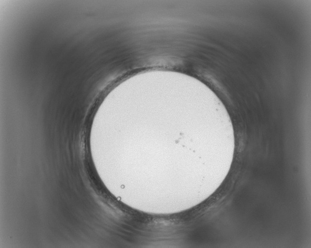 X0000067470632200604142351