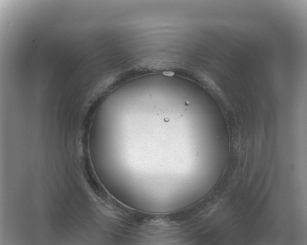 X0000067470635200604142351