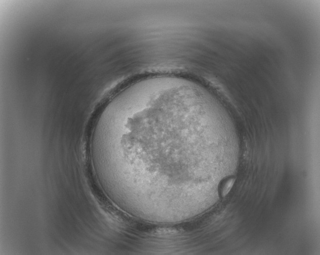 X0000067470636200604142351