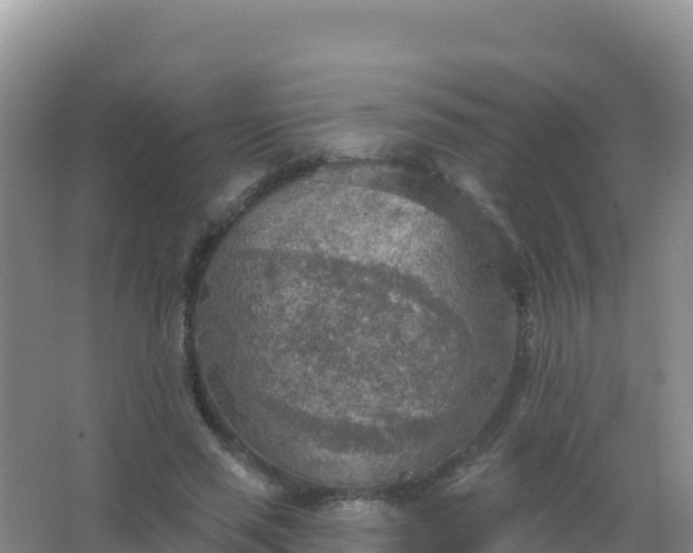 X0000067470637200604142351