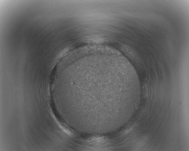 X0000067470638200604142351