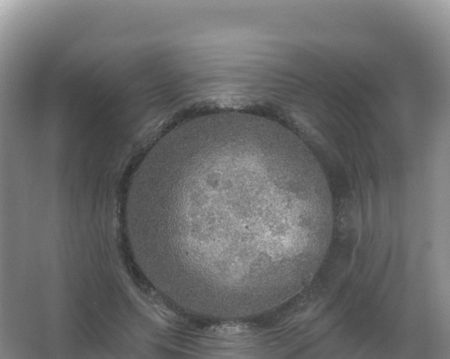 X0000067470639200604142351