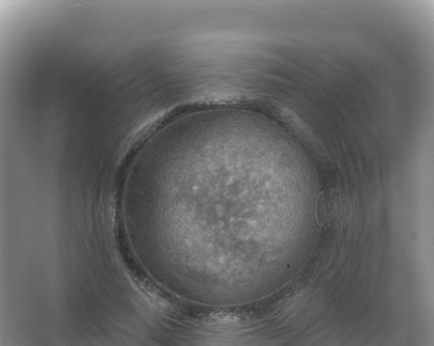 X0000067470640200604142351