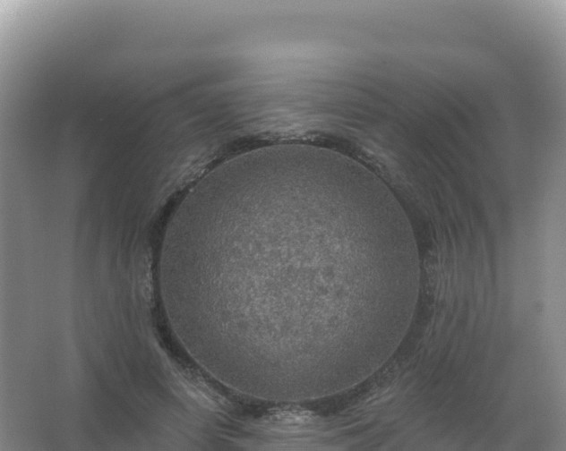 X0000067470642200604142351