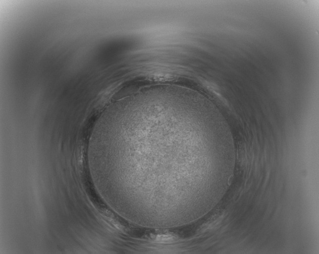 X0000067470645200604142351