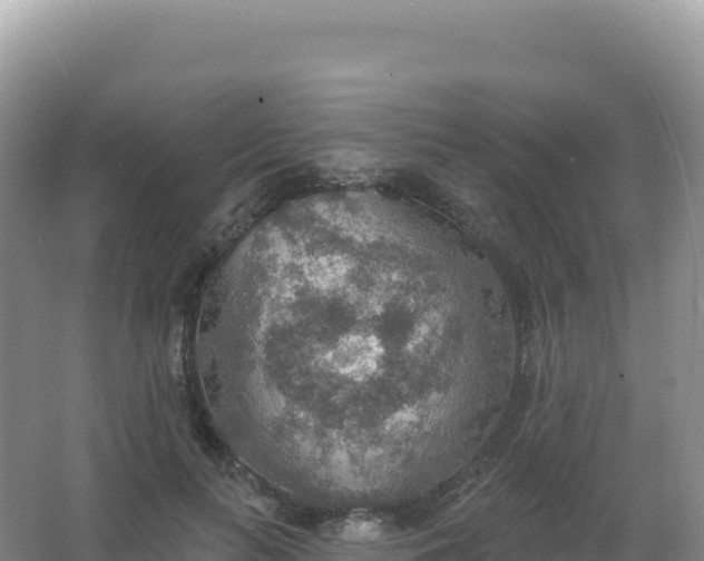 X0000067470647200604142351