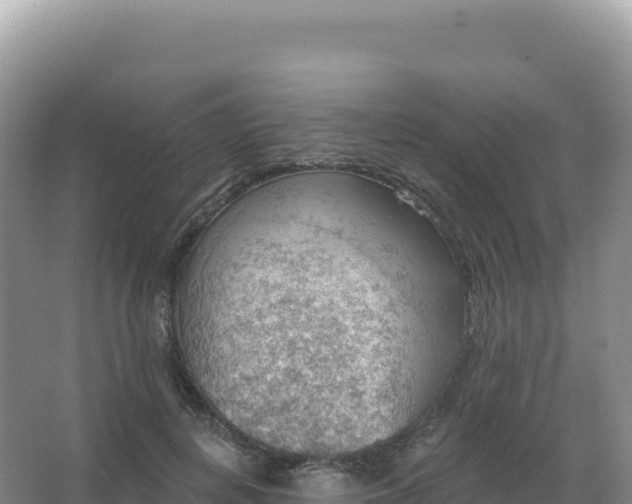 X0000067470648200604142351