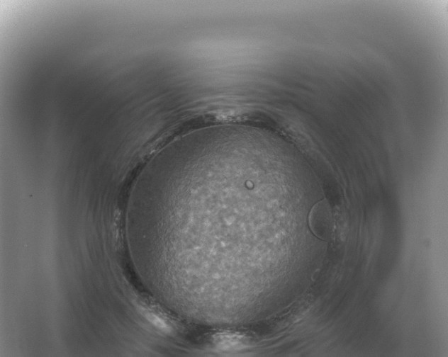 X0000067470650200604142351