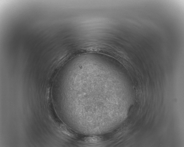 X0000067470652200604142351