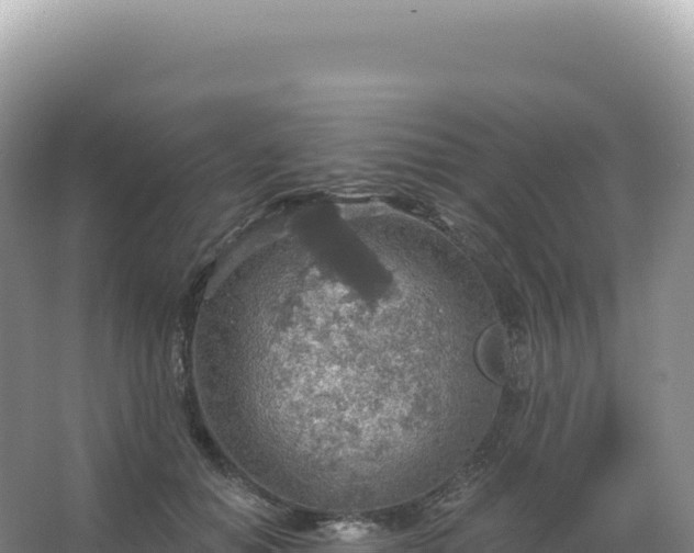 X0000067470654200604142351