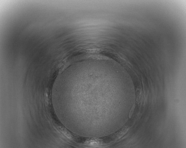 X0000067470655200604142351