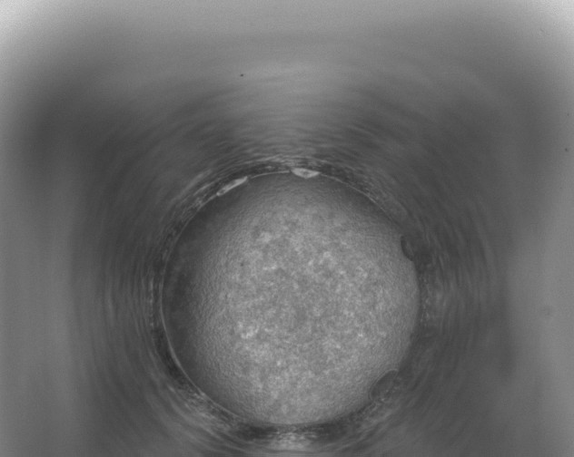 X0000067470656200604142351