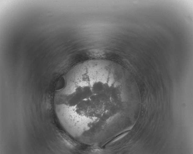 X0000067470658200604142351