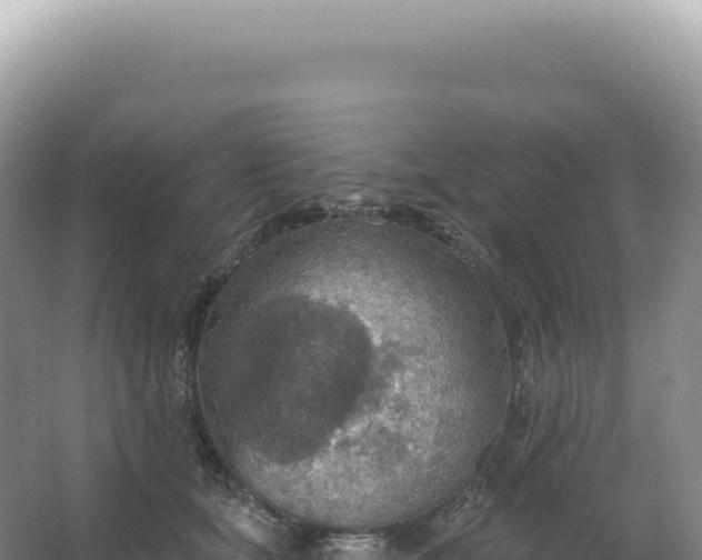 X0000067470659200604142351