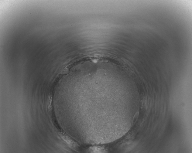 X0000067470660200604142352