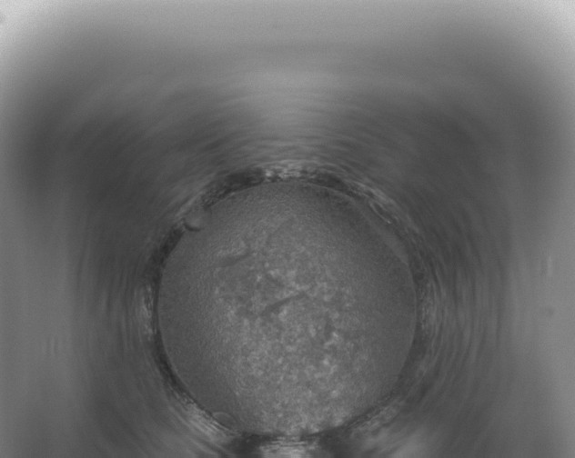 X0000067470661200604142352