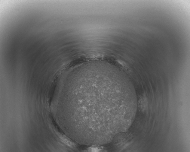 X0000067470662200604142352