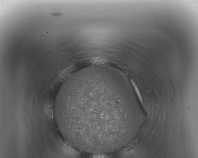 X0000067470666200604142352