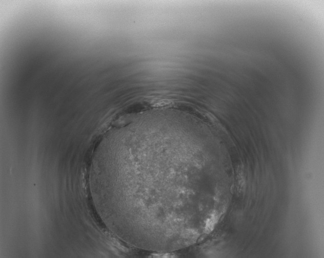 X0000067470667200604142352