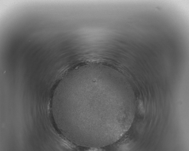 X0000067470668200604142352