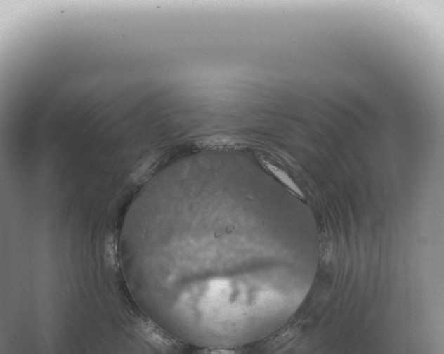 X0000067470669200604142352