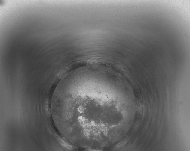 X0000067470670200604142352