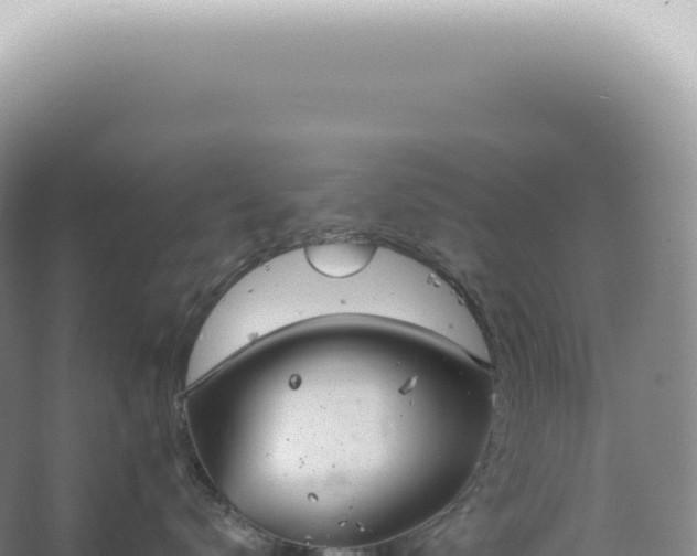 X0000067470672200604142352