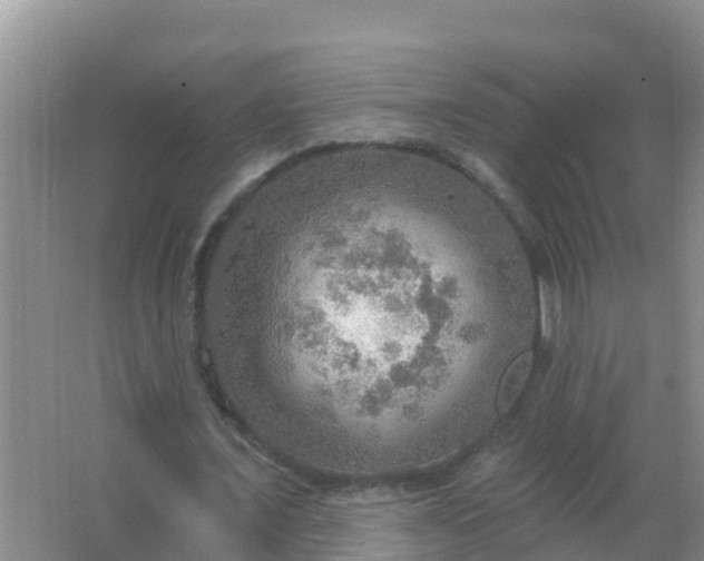 X0000067470675200604142351