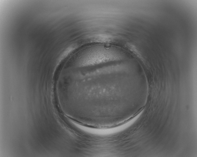 X0000067470679200604142351