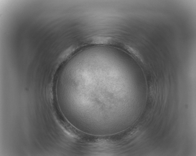 X0000067470682200604142351