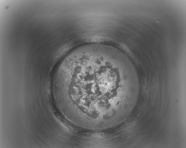 X0000067470683200604142351