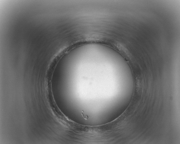 X0000067470684200604142351