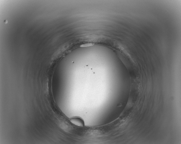 X0000067470685200604142351