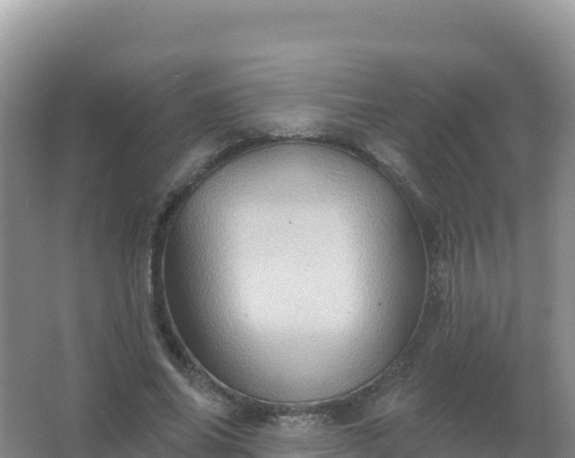 X0000067470686200604142351