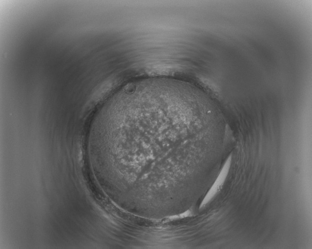 X0000067470687200604142351