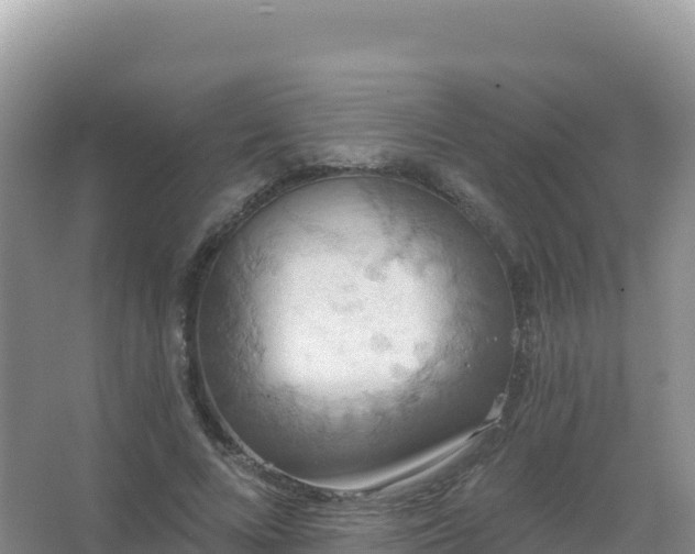 X0000067470688200604142351