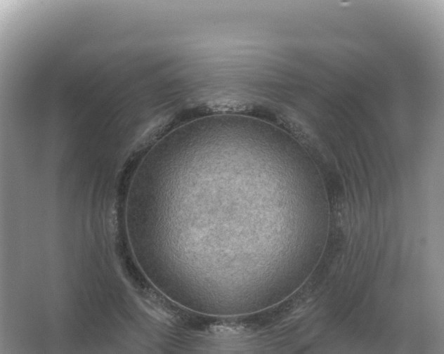 X0000067470690200604142351