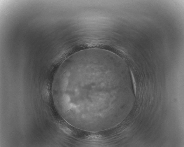 X0000067470691200604142351