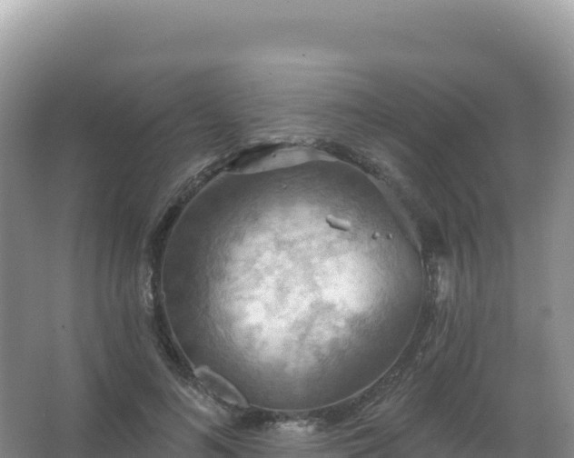 X0000067470692200604142351