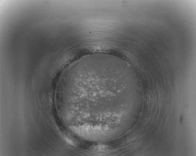 X0000067470695200604142351