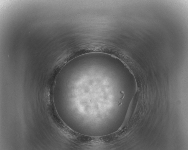 X0000067470696200604142351