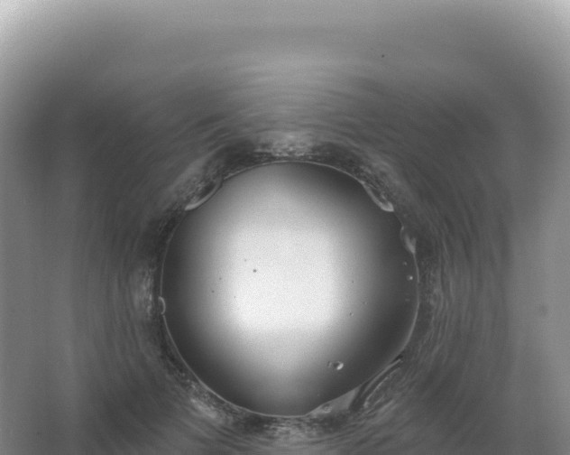 X0000067470697200604142351